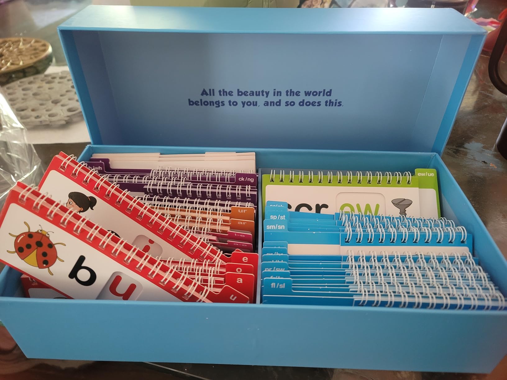 Phonics Flip Books for Early Readers – Thoson Lingo, 40 Read